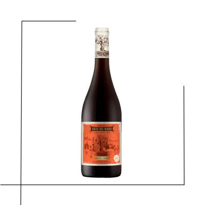 VINO RESERVA MORANDE TERRIOR WINES CARMENERE MALBEC1