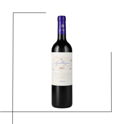 VINO RESERVA APALTAGUA SELEC RESERVE MERLOT