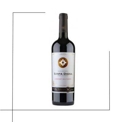 VINO GRAN RESERVA SANTA DIGNA CABERNET SAUVIGNON1