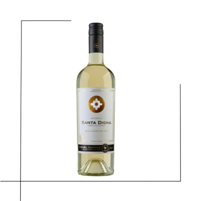 VINO GRAN RESERVA SANTA DIGNA SUAVIGNON BLANC1