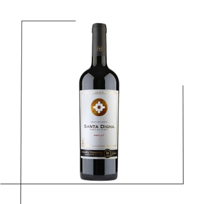 VINO GRAN RESERVA SANTA DIGNA MERLOT
