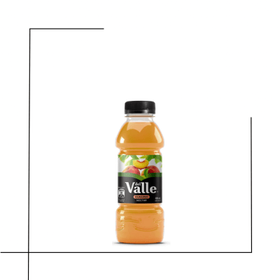 JUGO ANDINA DEL VALLE NECTAR DURAZNO