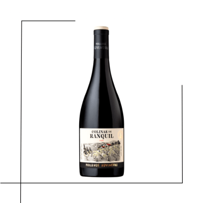 VINO PREMIUM MORANDE ADVENTURE COLINAS DE RANQUIL