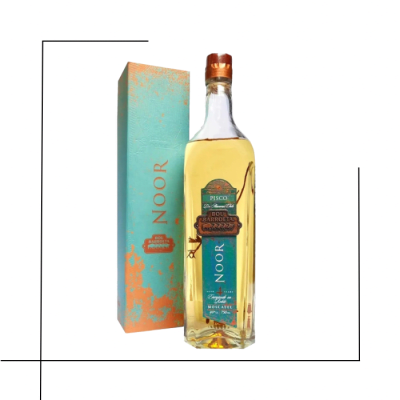 PISCO BOU BARROETA NOOR