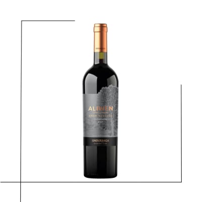 VINO GRAN RESERVA UNDURRAGA ALIWEN CARMENERE1