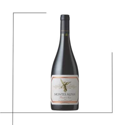 VINO PREMIUM MONTES ALPHA PINOT NOIR1