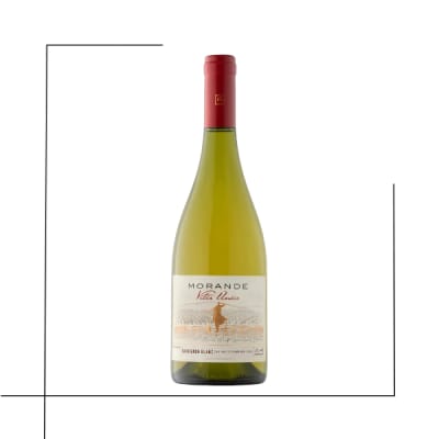 VINO VITIS UNICA MORANDE SAUVIGNON BLANC1