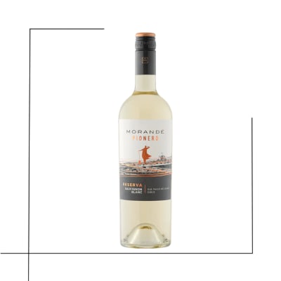 VINO RESERVA MORANDE PIONERO SAUVIGNON BLANC