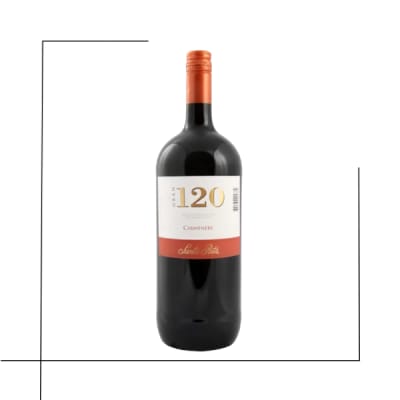 VINO BOTELLON GRAN 120 CARMENERE