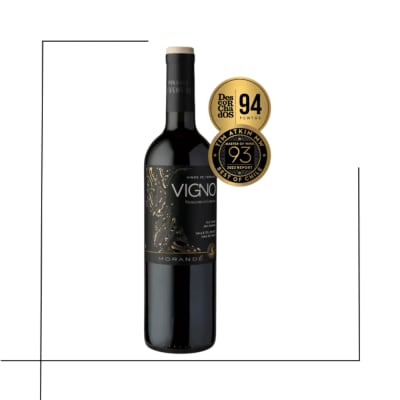 VINO PREMIUM MORANDE ADVENTUR VIGNO
