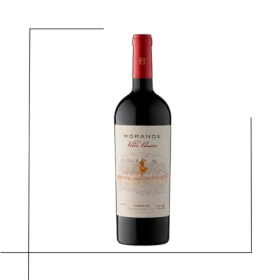 VINO PREMIUM VITIS UNICA MORANDE CARMENERE