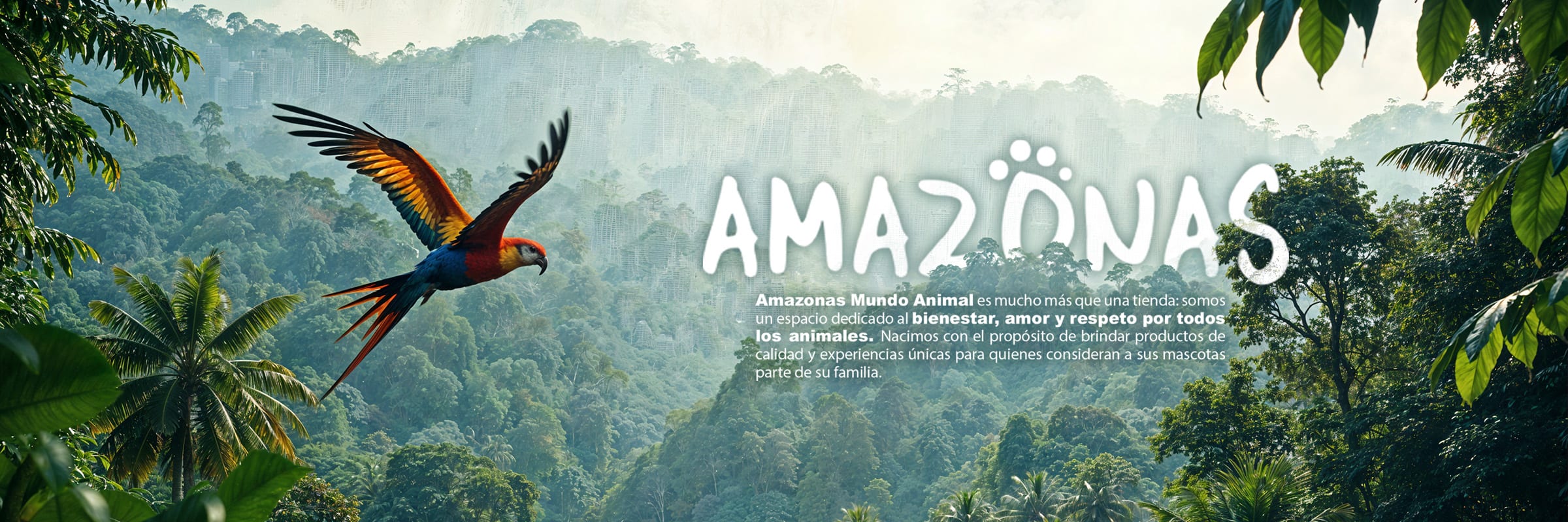 search?search_text=kong&limit=12&order=relevance&way=DESC