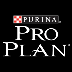 PRO PLAN
