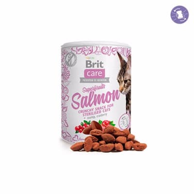 BRIT CARE CAT SNACK SUPERFRUITS SALMON 100 G