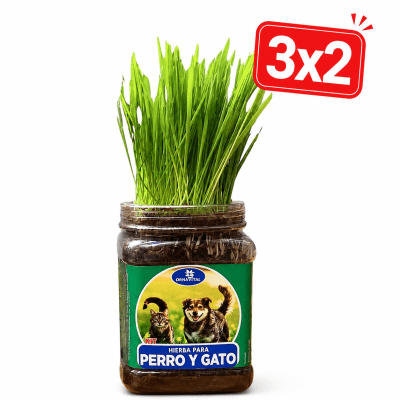HIERBA PARA MASCOTAS