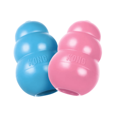 KONG puppy