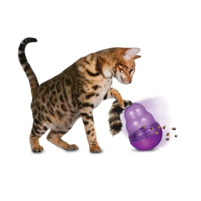 KONG WOBBLER CAT