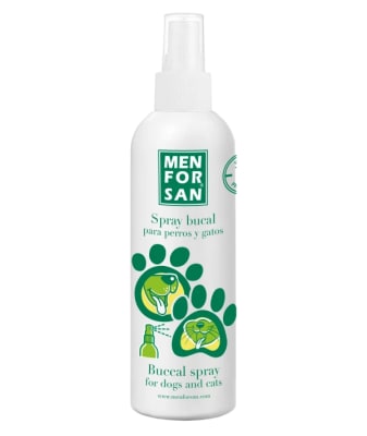 MEN FOR SAN SPRAY BUCAL 125ML