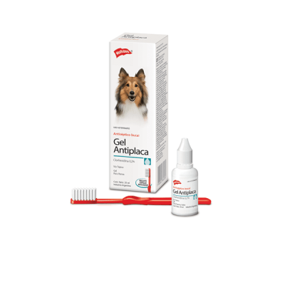 HOLLIDAY GEL ANTIPLACA PERRO Y GATOS 20ML