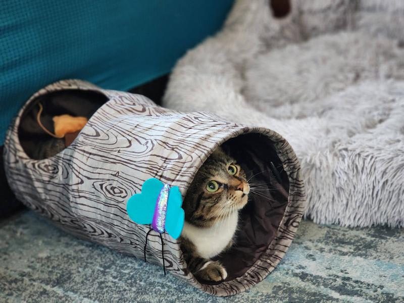 kong play spaces burrow2