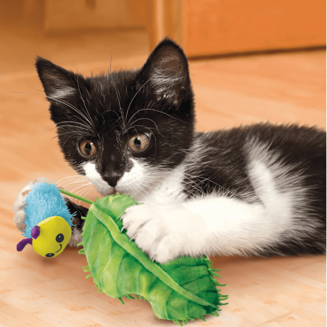 KONG FLINGAROO CATERPILLAR2