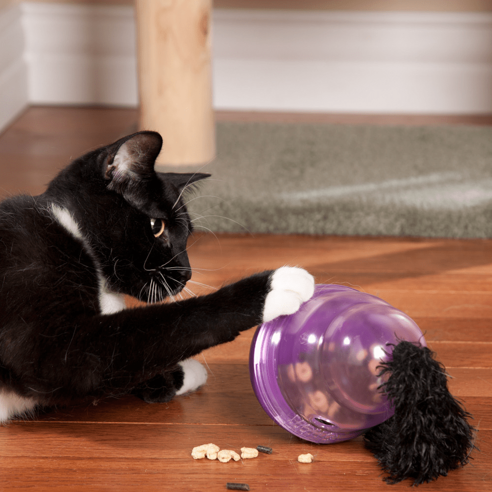 KONG WOBBLER CAT3
