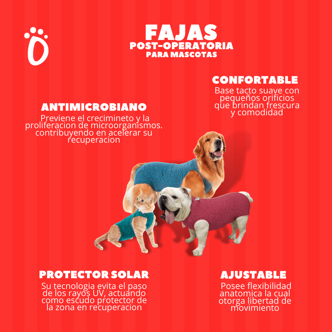 FAJA POST OPERATORIA4