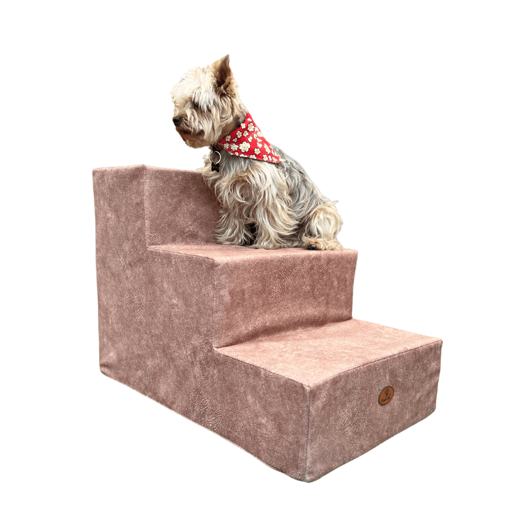 ESCALERA PARA MASCOTAS2