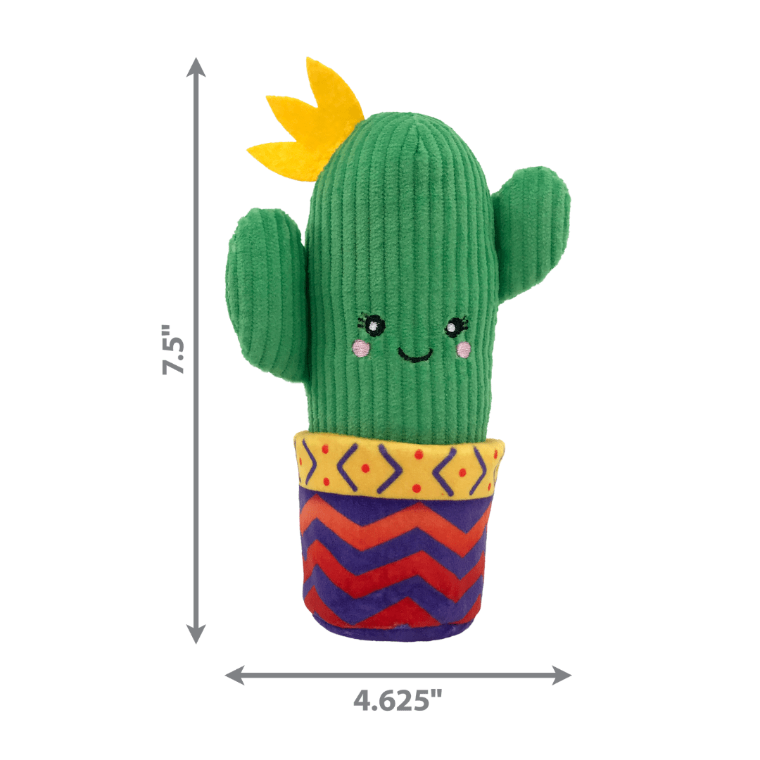 kong wrangler cactus2