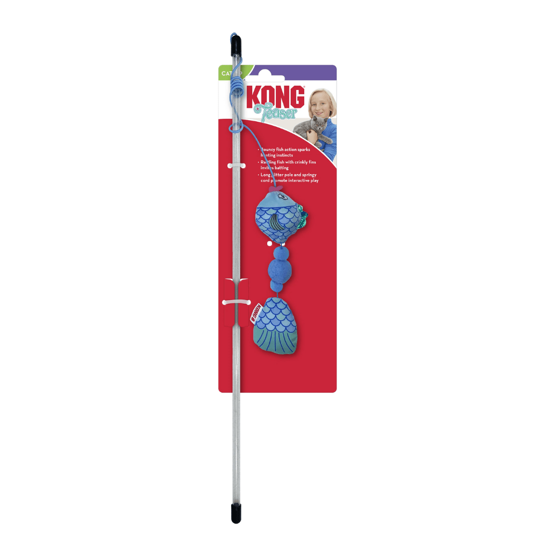 kong teaser scrattles fish assorted2