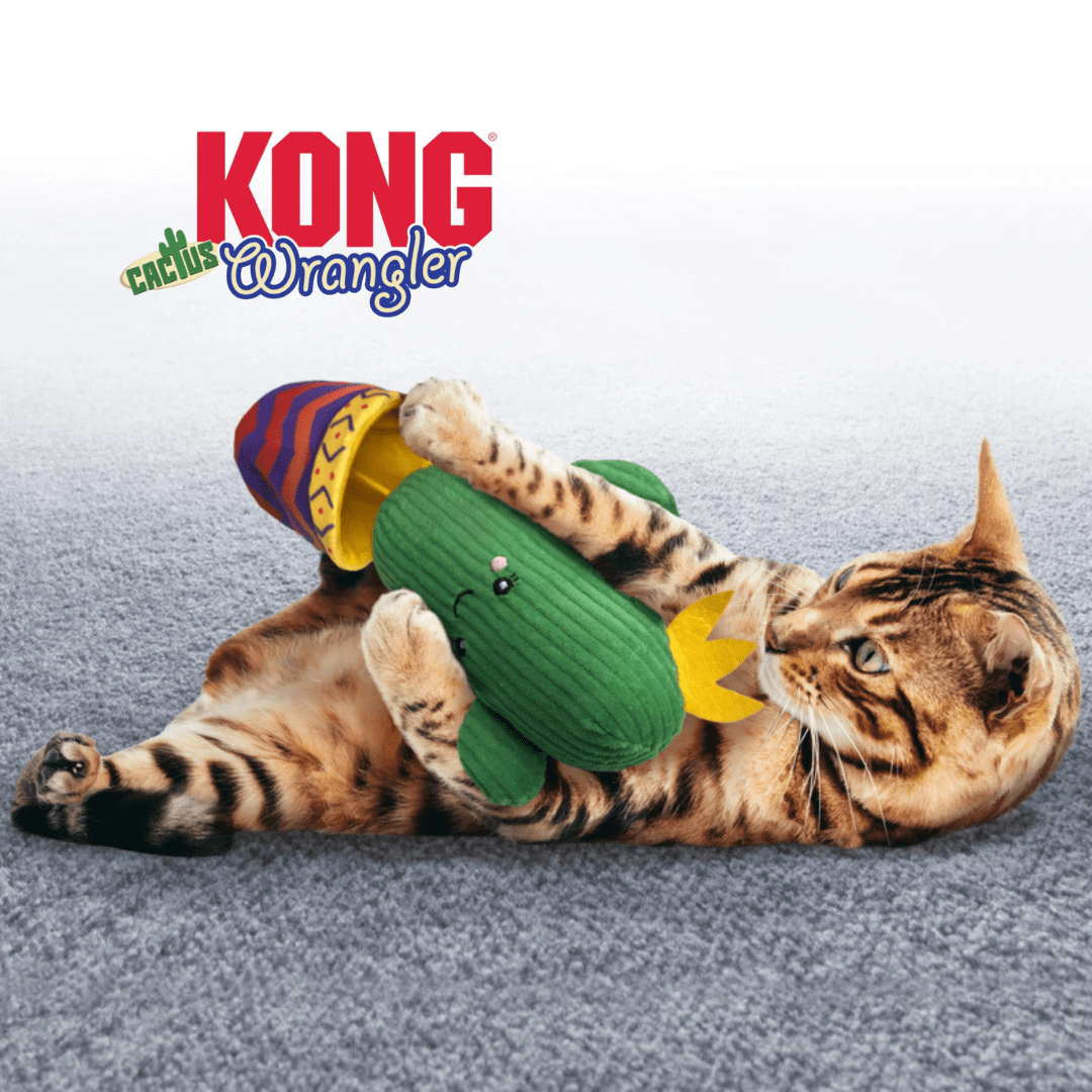 kong wrangler cactus3