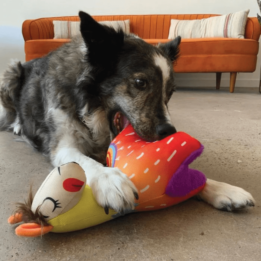 KONG BALLISTIC LLAMAS SM/MD4