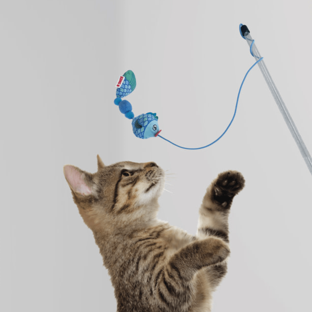 kong teaser scrattles fish assorted4