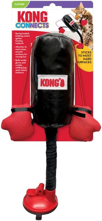 kong connects punching bag4