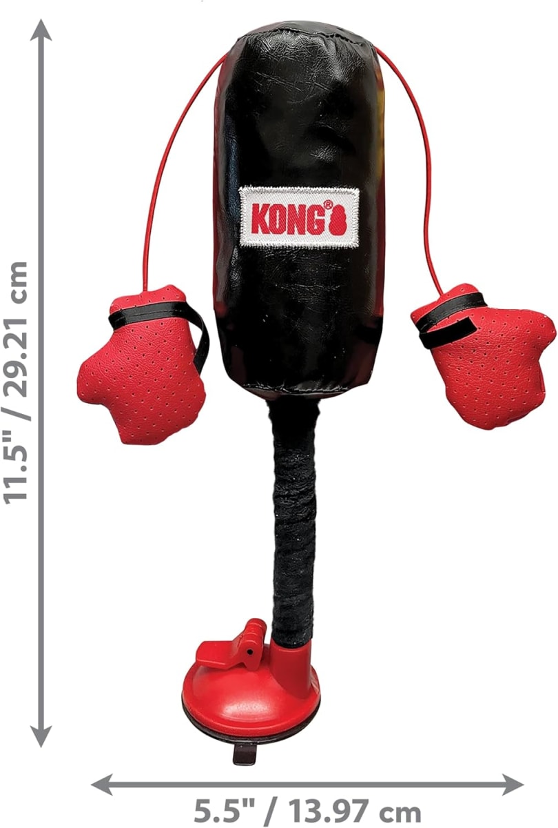 kong connects punching bag2
