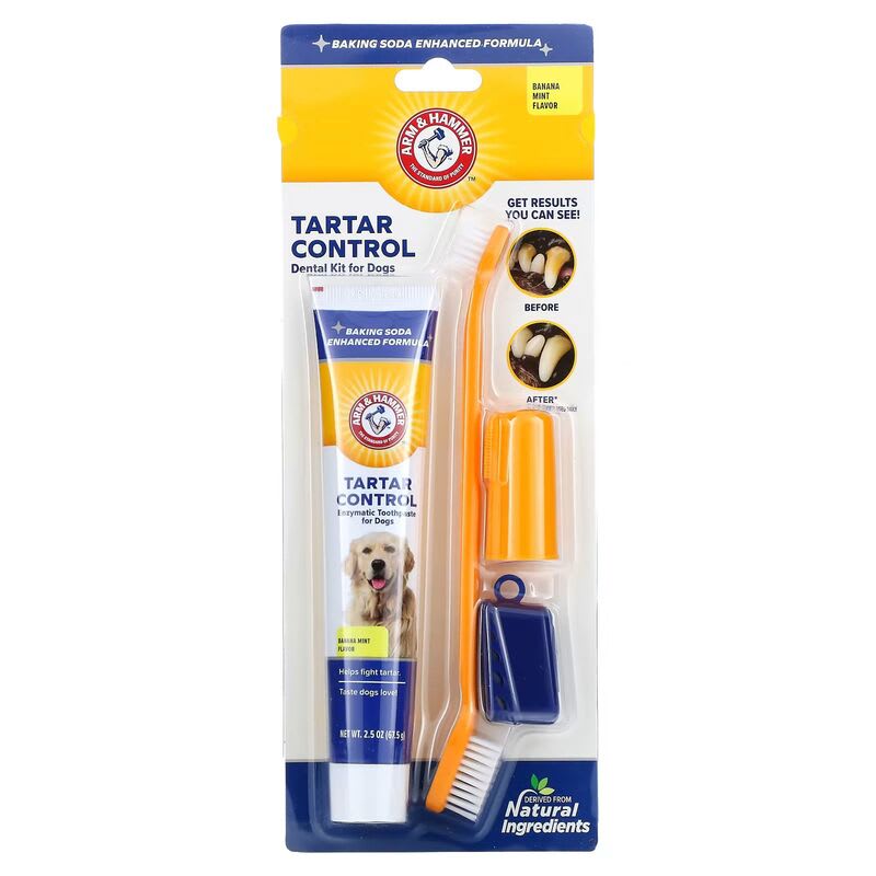 ARM & HAMMER CONTROL TARTAR KIT DENTAL 67.5GR1