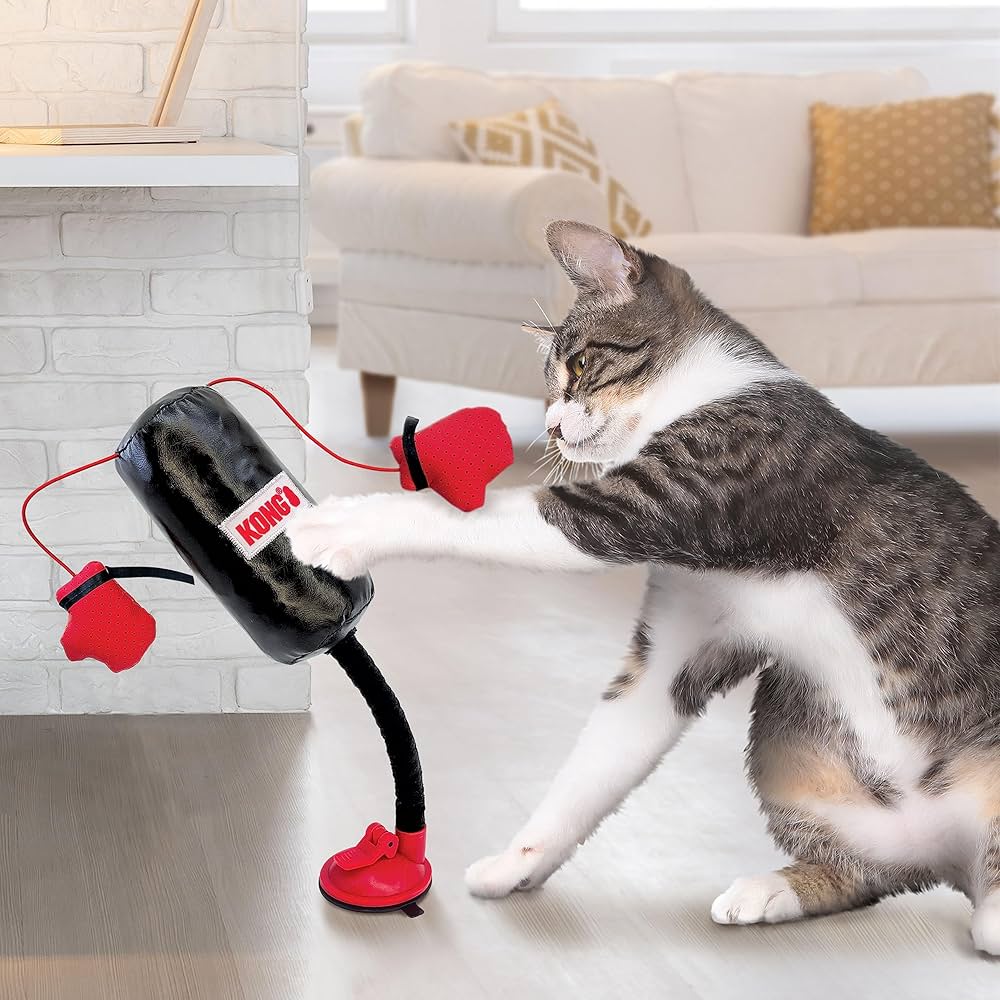 kong connects punching bag3