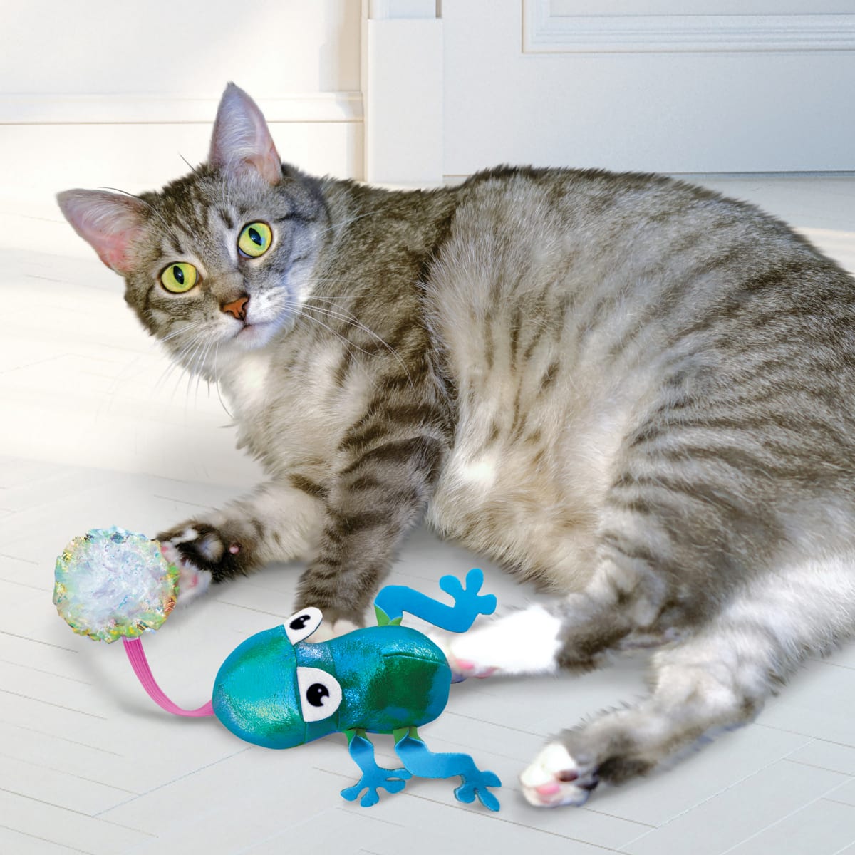 kong flingaroo frog2