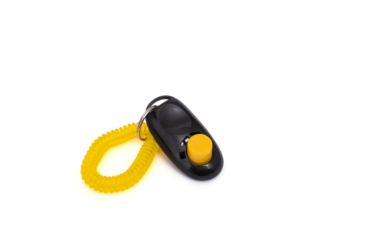 TRAINING DOG CLICKERS2