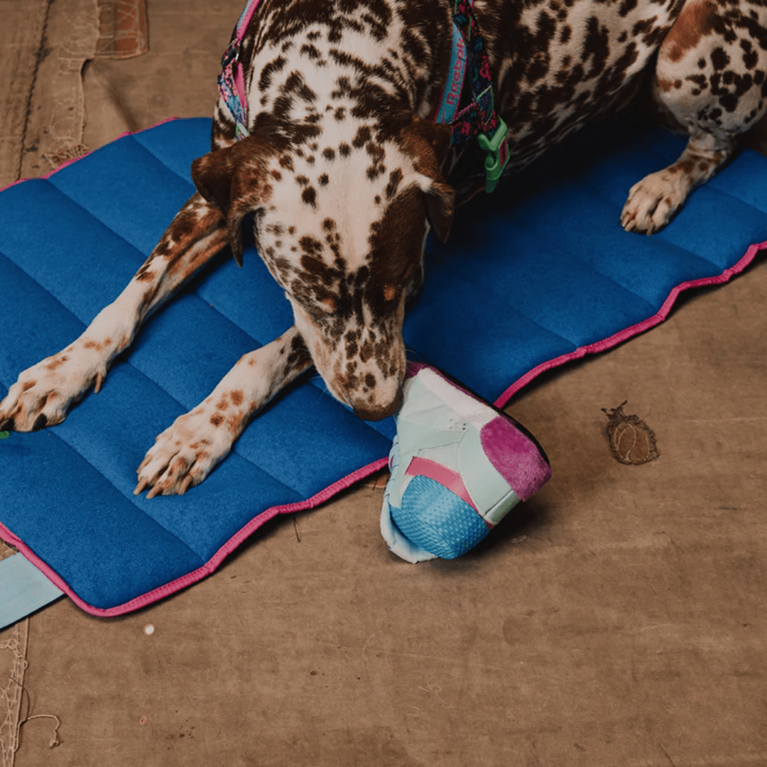 Juguete de Peluche Reebok Freestyle Hi para Perros3