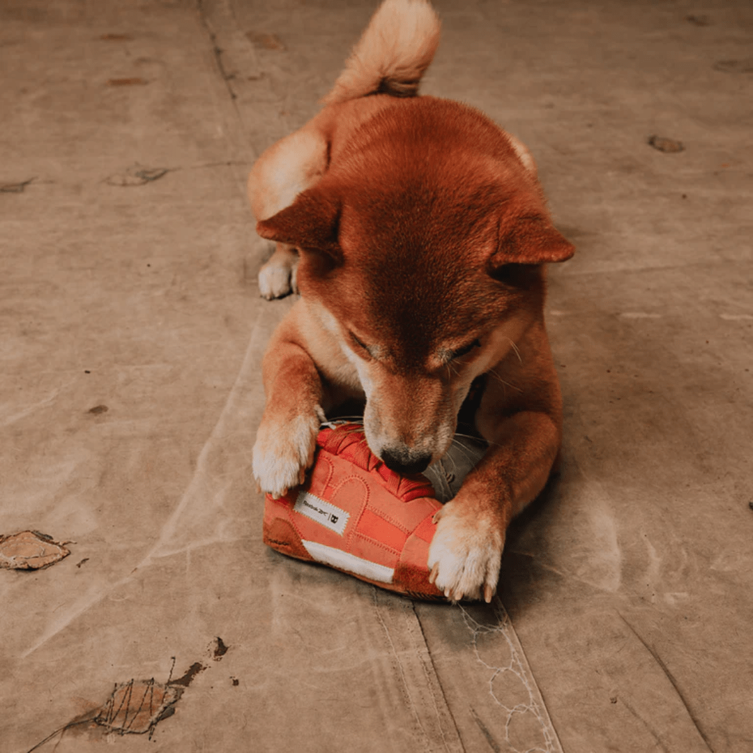 Juguete de Peluche Reebok Workout Plus para Perros2