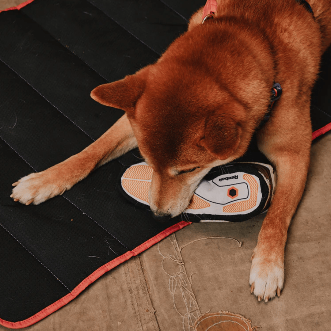 Juguete de Peluche Reebok Pump Omni II para Perros2