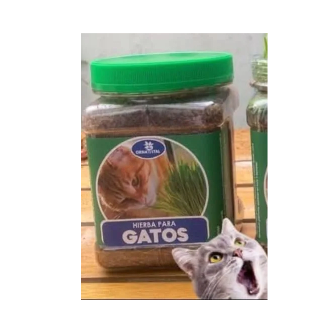 HIERBA PARA MASCOTAS1