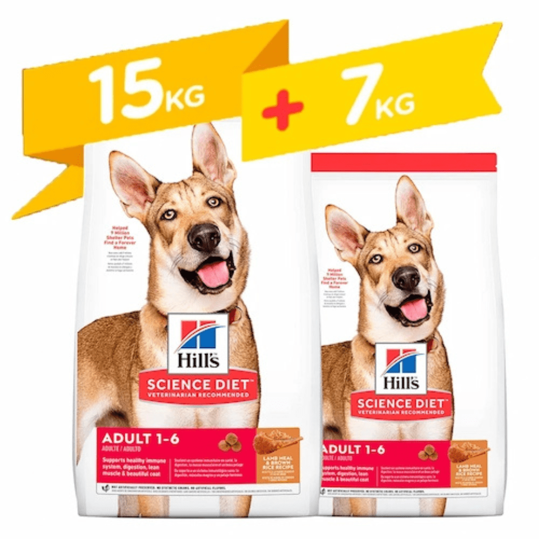 HILLS  ADULTO LAMB & RICE 14.9KG + 7kg1