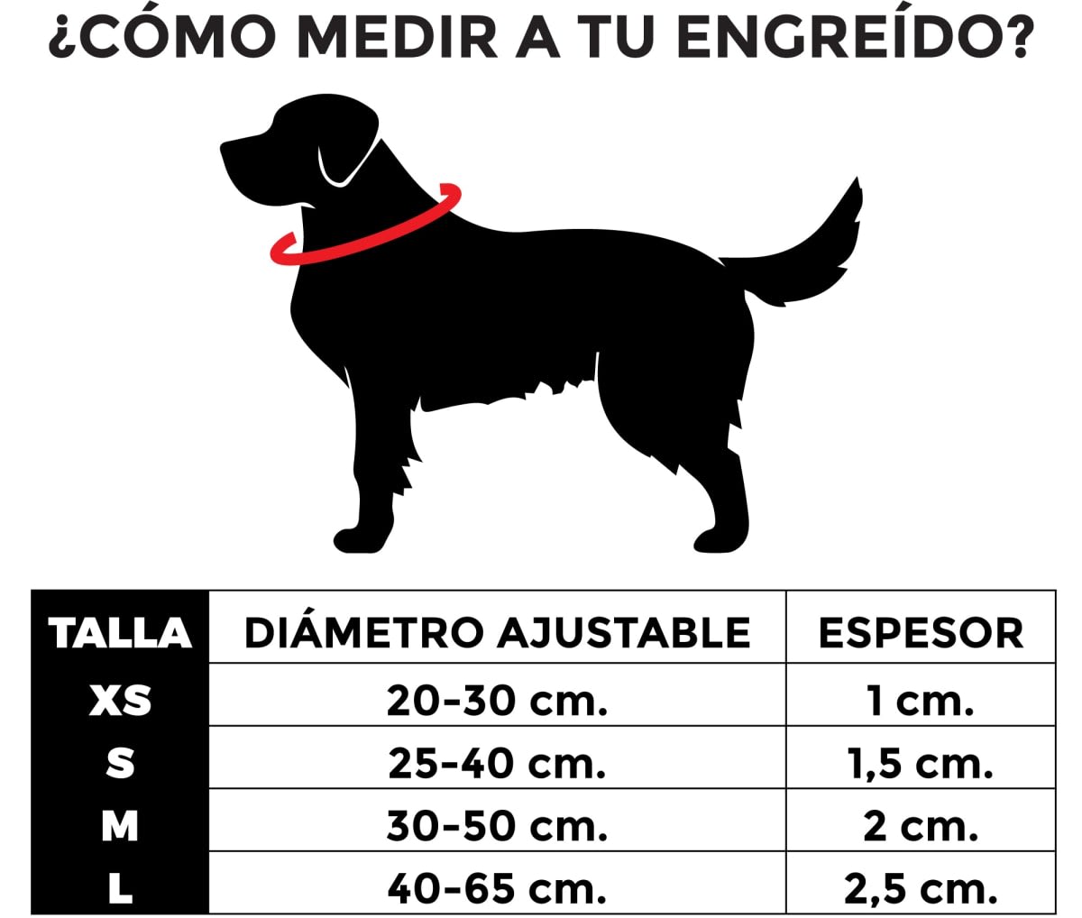 ZEEDOG COLLAR PERRO ASTRO5