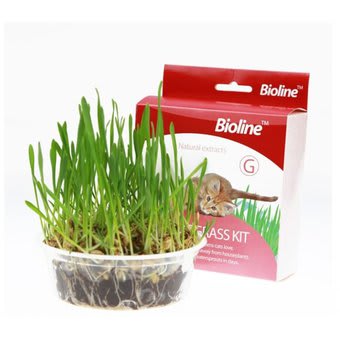 Bioline Cat Grass Kit