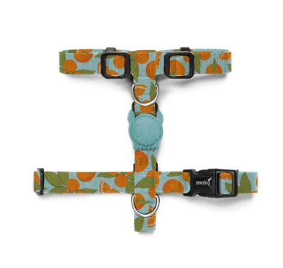 Arnes Perro ZeeDog Florida H-Harness1