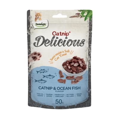 Delicious Catnip y Pescado de Oceano