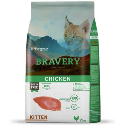 Bravery Chicken Kitten