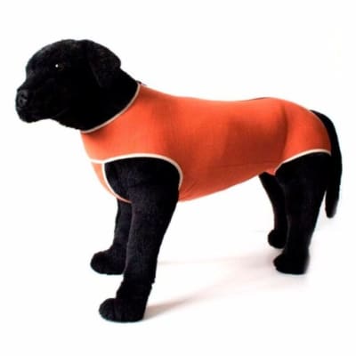 Kimba Body de Cobre1